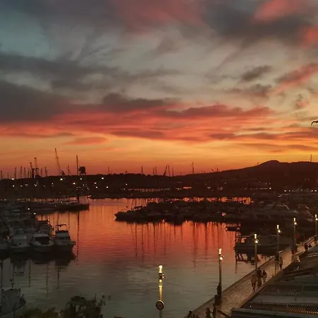 Marina Dream Tolone
